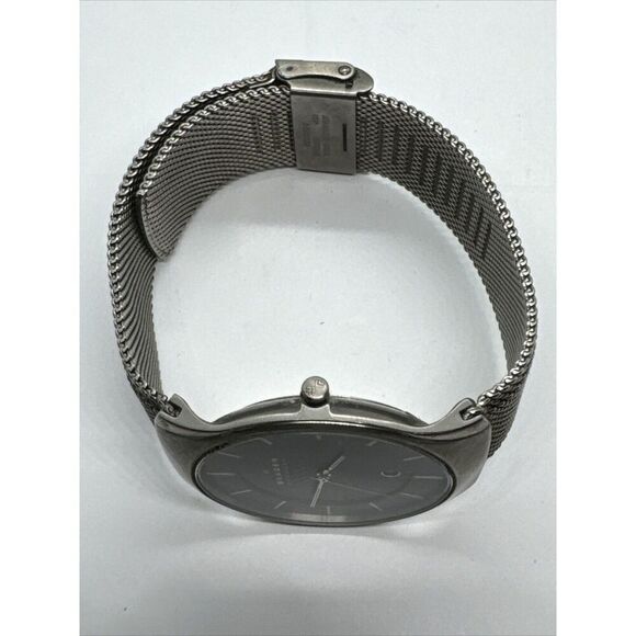 Skagen SKW6140 Men\'s Gray Mesh Straps Analog Dial Quartz Genuine Watch AEA136